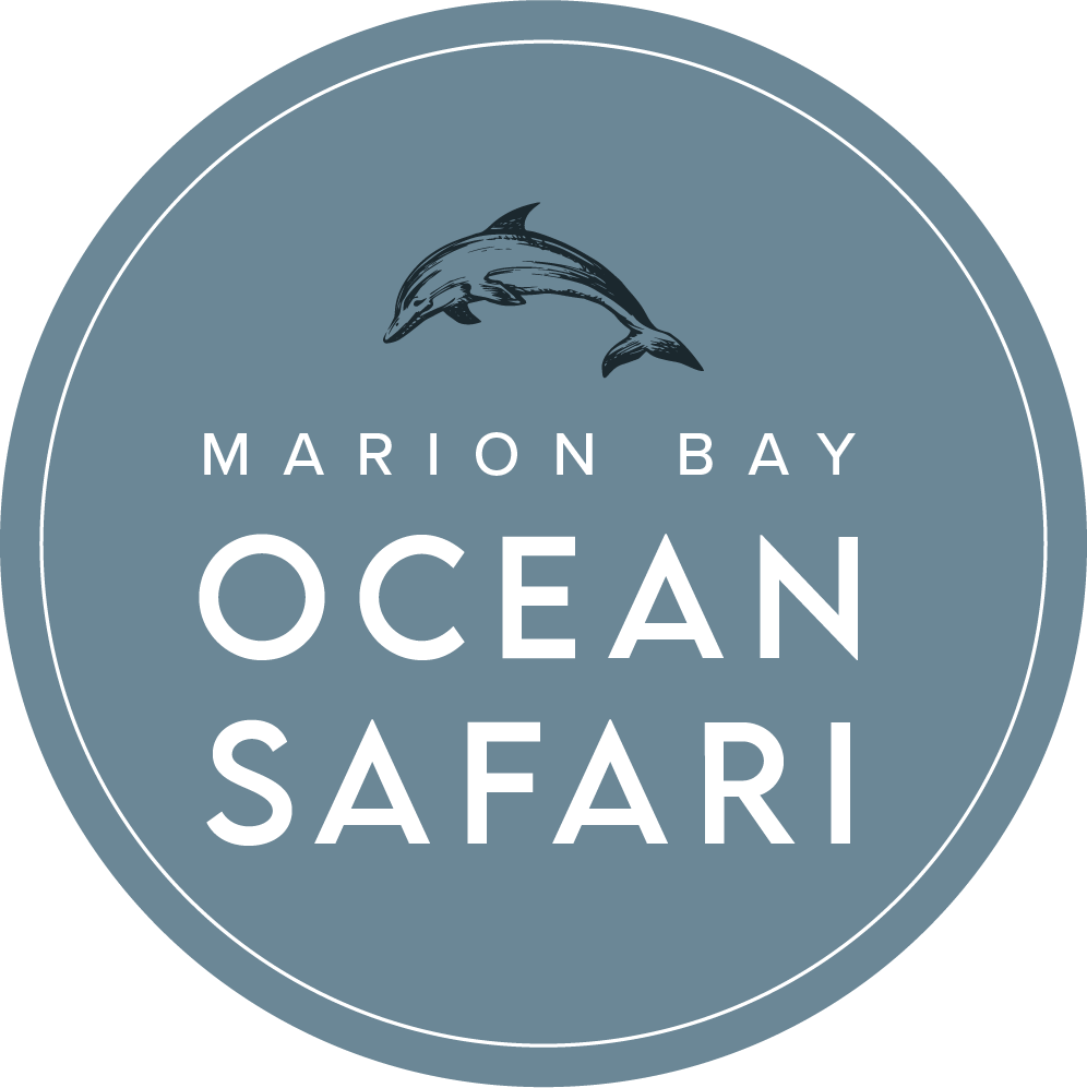 Socials Profile Logo